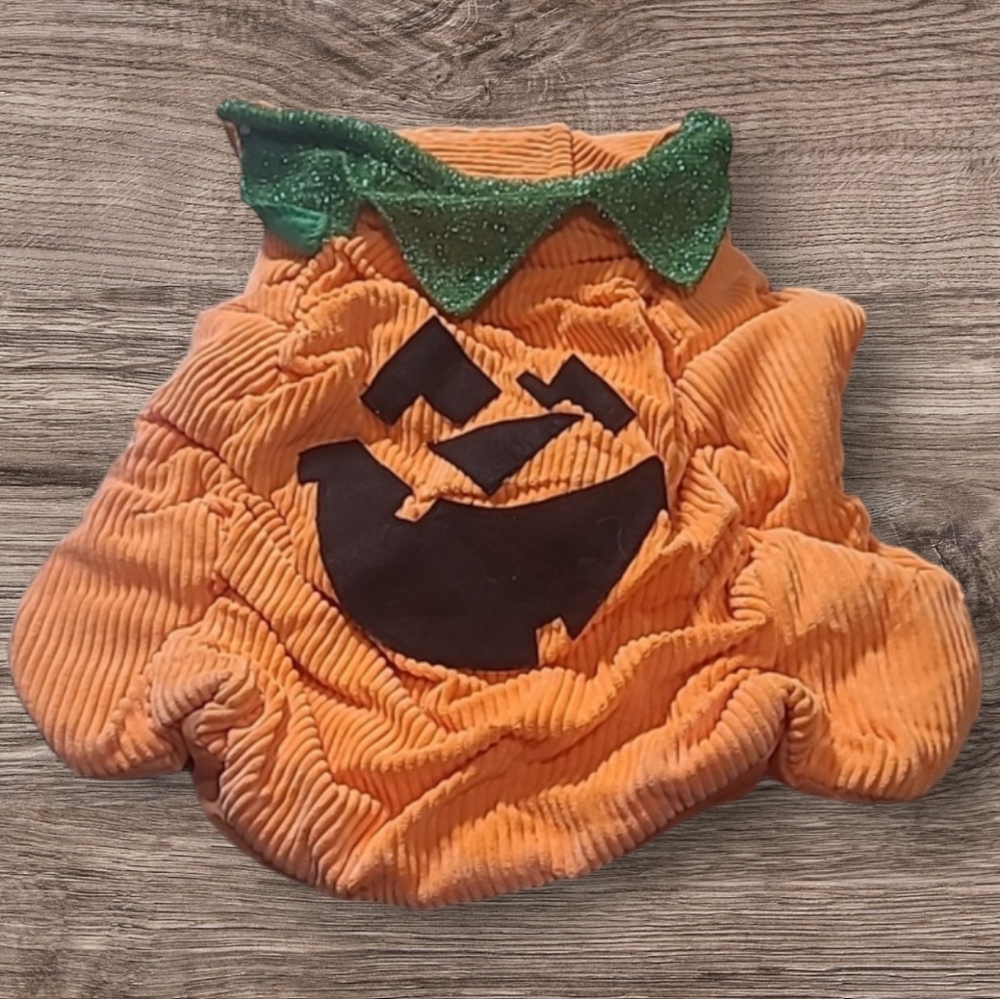 DOG HALLOWEEN BOOTIQUE PUMPKIN COSTUME